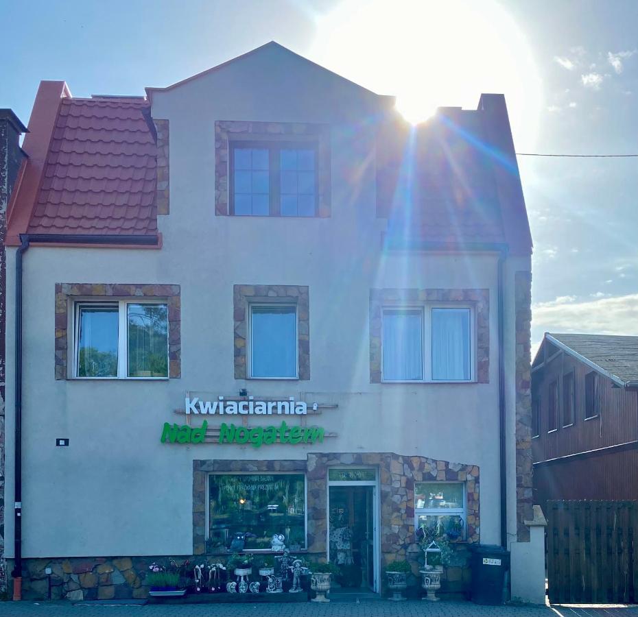 Glowna Apartamenty Nad Nogatem Malbork Luaran gambar